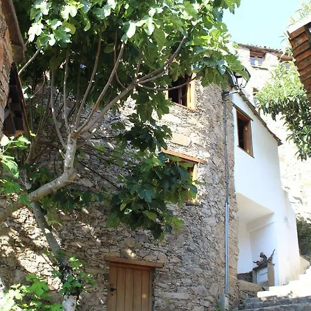 Alojamento de Turismo Selvagem Casa Da Carvalha Lousã